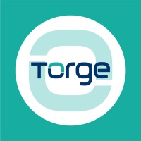 Torge Sistemas logo - Similar company to A52 Softwares Inteligentes