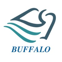 Buffalo Business Group S.A.S. logo - Similar company to Dev Enterprise