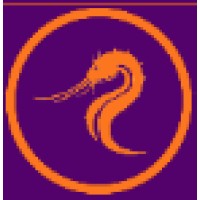 NordicTide logo - Similar company to Tmsight