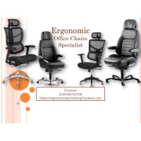 ERGONOMIC OFFICE CHAIRS SPECIALIST logo - Similar company to Office Empire