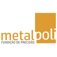Metalpoli logo - Similar company to Leadmx