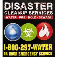 Disaster Cleanup Services, Inc. logo - Similar company to Little Red Bird