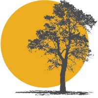 Delta Creek Financial Advisors