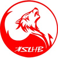 Saint-Loubès Handball