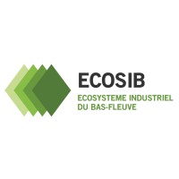 ECOSIB DRC logo - Similar company to Sodecomi Drc
