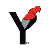 Yawar Films logo - Similar company to Altisa Perú