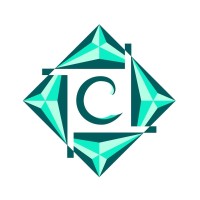 Careist Healthtech Pvt. Ltd logo - Similar company to Seic