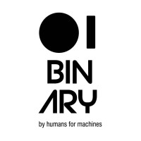 Binary Software Services logo - Similar company to Binary Software Solutions
