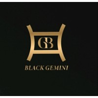 Black Gemini logo - Similar company to Tassili Tech