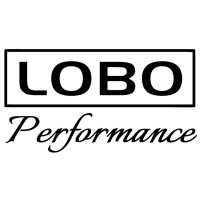 Lobo Logistics L.L.C. logo - Similar company to Drive Force One - Vip, Business & Events Transportation Services In Poland