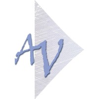 VALLEJO CONSULTORES logo - Similar company to Atom Riders
