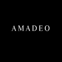 Amadeo Global logo - Similar company to Mavin Ventures