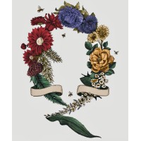 Queenida logo - Similar company to Kkerly