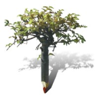 Projektowanie Zieleni Małgorzata Skowron logo - Similar company to Studio Krajobraz