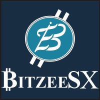 BitzeeSX logo - Similar company to Digicentr