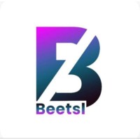 Beetsl soft solutions Pvt Ltd logo - Similar company to Leapfrog Multimedia