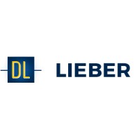 Darin Lieber CPA logo - Similar company to Cpa Gurus Llc