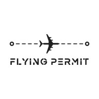 FLYING PERMIT logo - Similar company to Executive Jetz Handling Chișinău