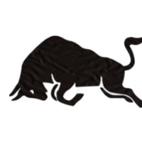 Black Bull Operational Services Ltd. logo - Similar company to H2Bro'S Water Hauling