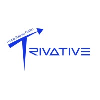 Trivative Planning Consultants Llc