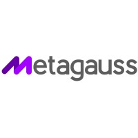 Metagauss logo - Similar company to Alcanttor