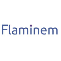 Flaminem logo - Similar company to Afterdata | Market Abuse & Aml