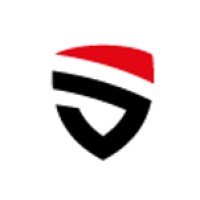 New Paradigm Security logo - Similar company to Paradigm Security Solutions Limited
