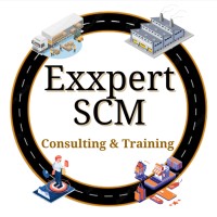 ExxpertSCM (Unit of Thoughtware Training Pvt Ltd) logo - Similar company to Starnel