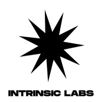 Intrinsic Labs logo - Similar company to Thirdstaff