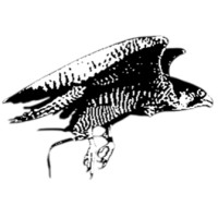 Falconry Services
