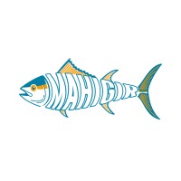 mahigir logo - Similar company to Digitalmbp