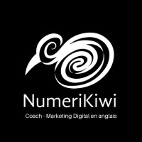NumeriKiwi - Digital Marketing coaching in English logo - Similar company to Crm Erp Catalyst
