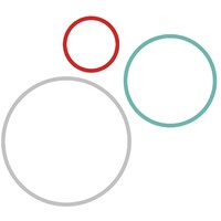 Sorus Group logo - Similar company to Squiggle Collective
