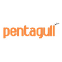 Pentagull logo - Similar company to Inside & Out Digital