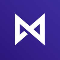 Limitless Agency logo - Similar company to Witfuse Solutions