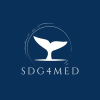 SDG4MED logo - Similar company to Margnet Project