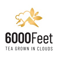 6000Feet logo - Similar company to The Recruiters Network