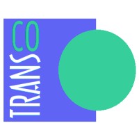 Transcomahue S.A. logo - Similar company to Faro Integrity