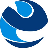 E SENSE IT logo - Similar company to Workificient Technologies Pvt Ltd