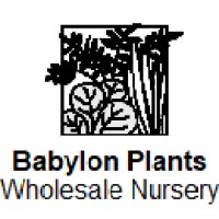 Babylon Plants logo - Similar company to Belmark & Nightingale Ltd
