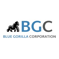 BGCorp logo - Similar company to Mopirove