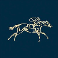 Horse Center Laboratório e Clínica Veterinária logo - Similar company to Escola Regional De Redes De Computadores (Errc)