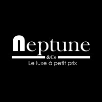 Neptune& Co. logo - Similar company to Case Technologique Multimedia