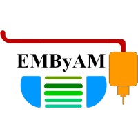 EMByAM Project logo - Similar company to Dana Belgium