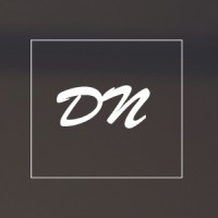 Digital Netsol logo - Similar company to Wild Ads