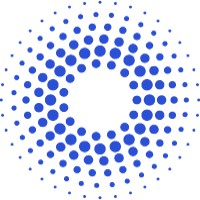 Businessights logo - Similar company to Turktech Diaspora