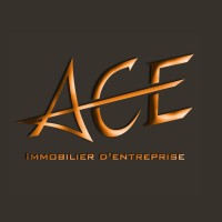 Groupe Ace Immobilier d'Entreprise logo - Similar company to Neuro-Vision