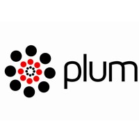 Plum Solutions logo - Similar company to Solve & Excel Consulting