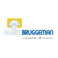 Algist Bruggeman logo - Similar company to Vv Technologies Srl
