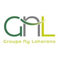 Groupe Ny Loharano logo - Similar company to Digigasy
